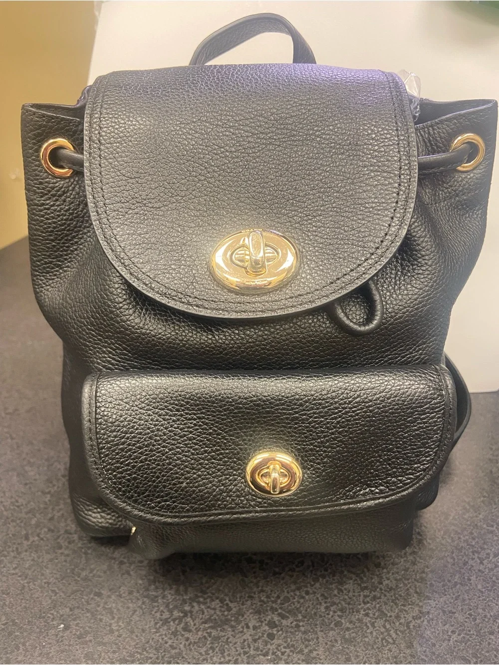 Coach Black Pebbled Leather Mini Backpack with Gold Hardware Accents